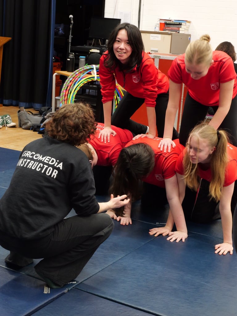 08381206-F3C3-4123-90BF-2ED182C49E05_1_105_c-1